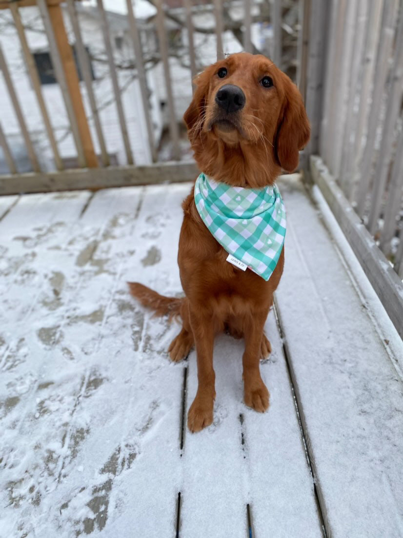 Pup Love Candy Hearts