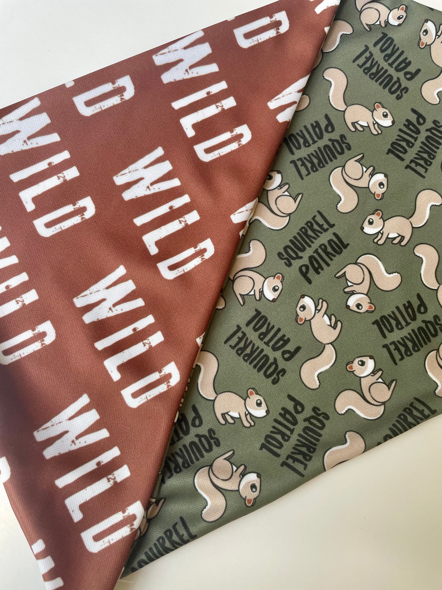 Squirrel Patrol, 2 in 1 Dog Bandana