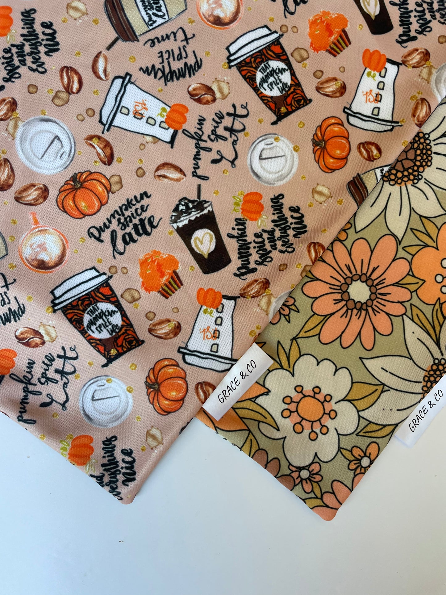 Pumpkin Spice & Everything Nice; 2 in 1 Fall Themed Dog Bandana
