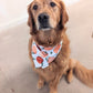 Apple Pickin': 2 in 1 Fall Pup Bandana