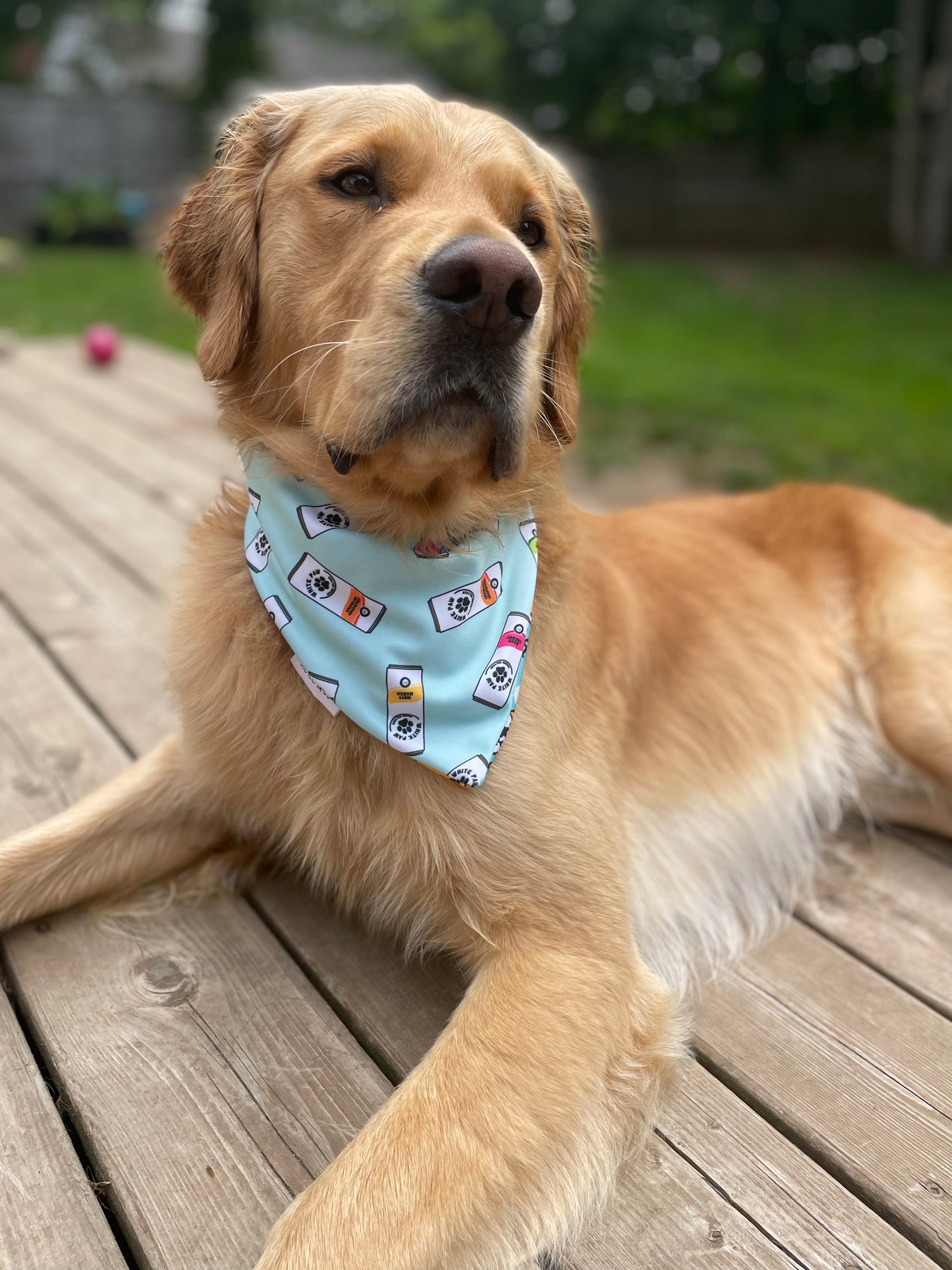 White Paws Bandana