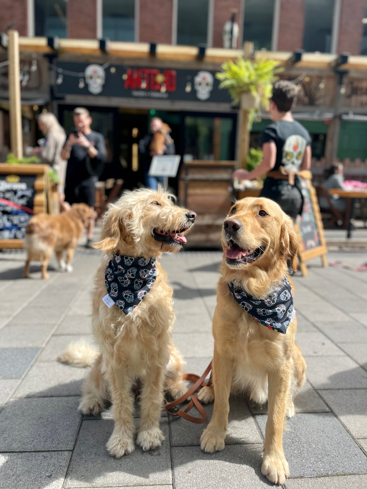 Taco’s & Marg’s Bandana