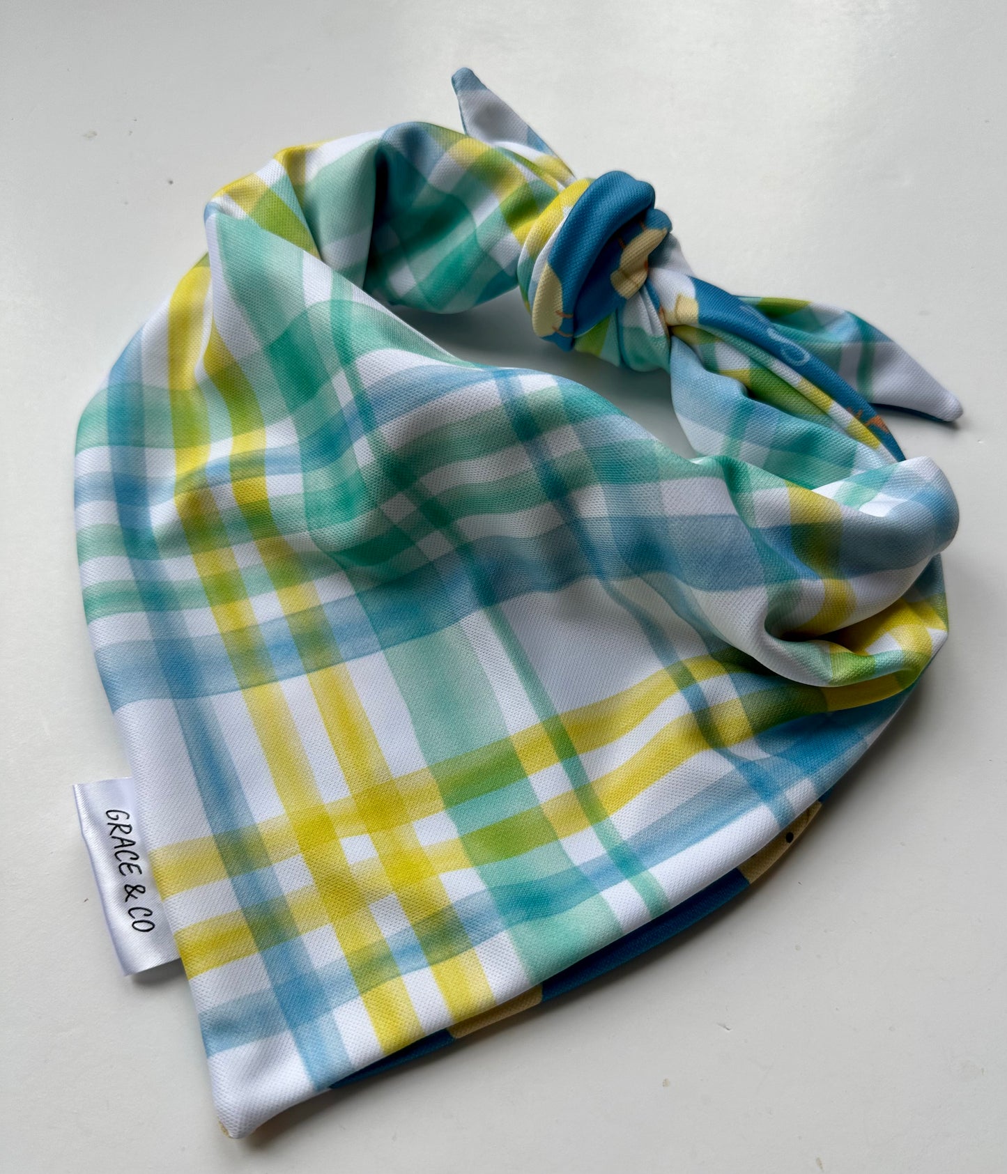 Chick's Dig Me, Double Sided Easter Bandana w/ Brass Snaps