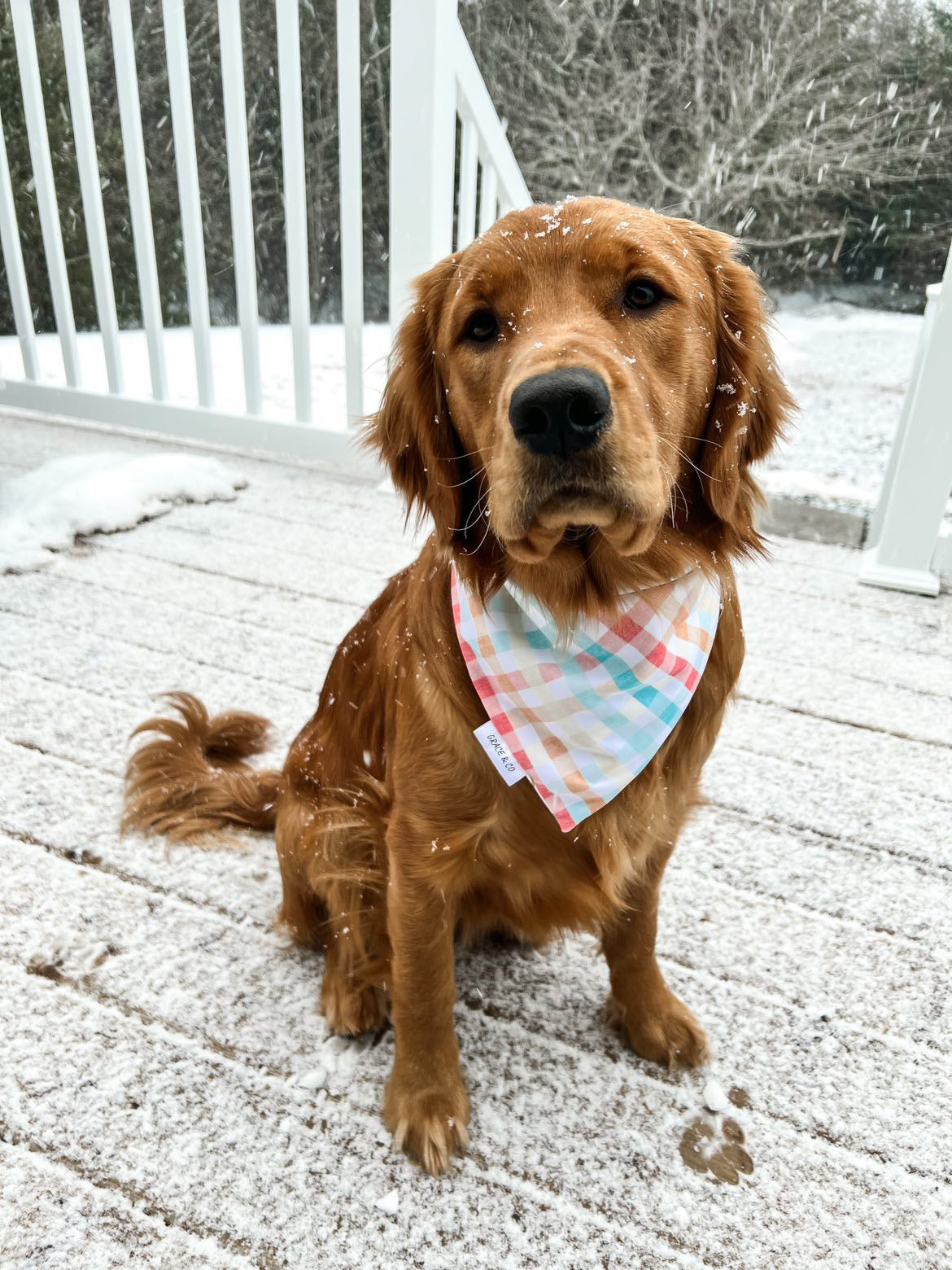 Egg-stremely Cute, Double Sided Easter Bandana