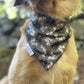 Squirrel Patrol, 2 in 1 Dog Bandana
