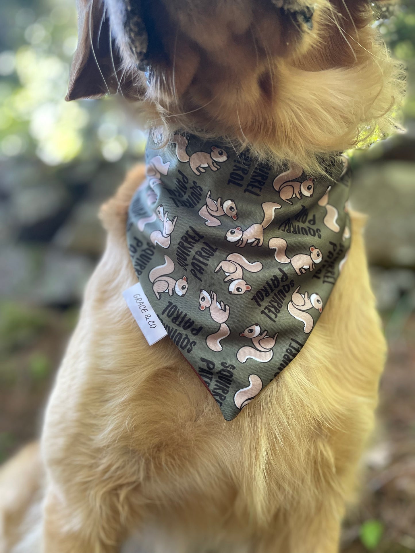 Squirrel Patrol, 2 in 1 Dog Bandana
