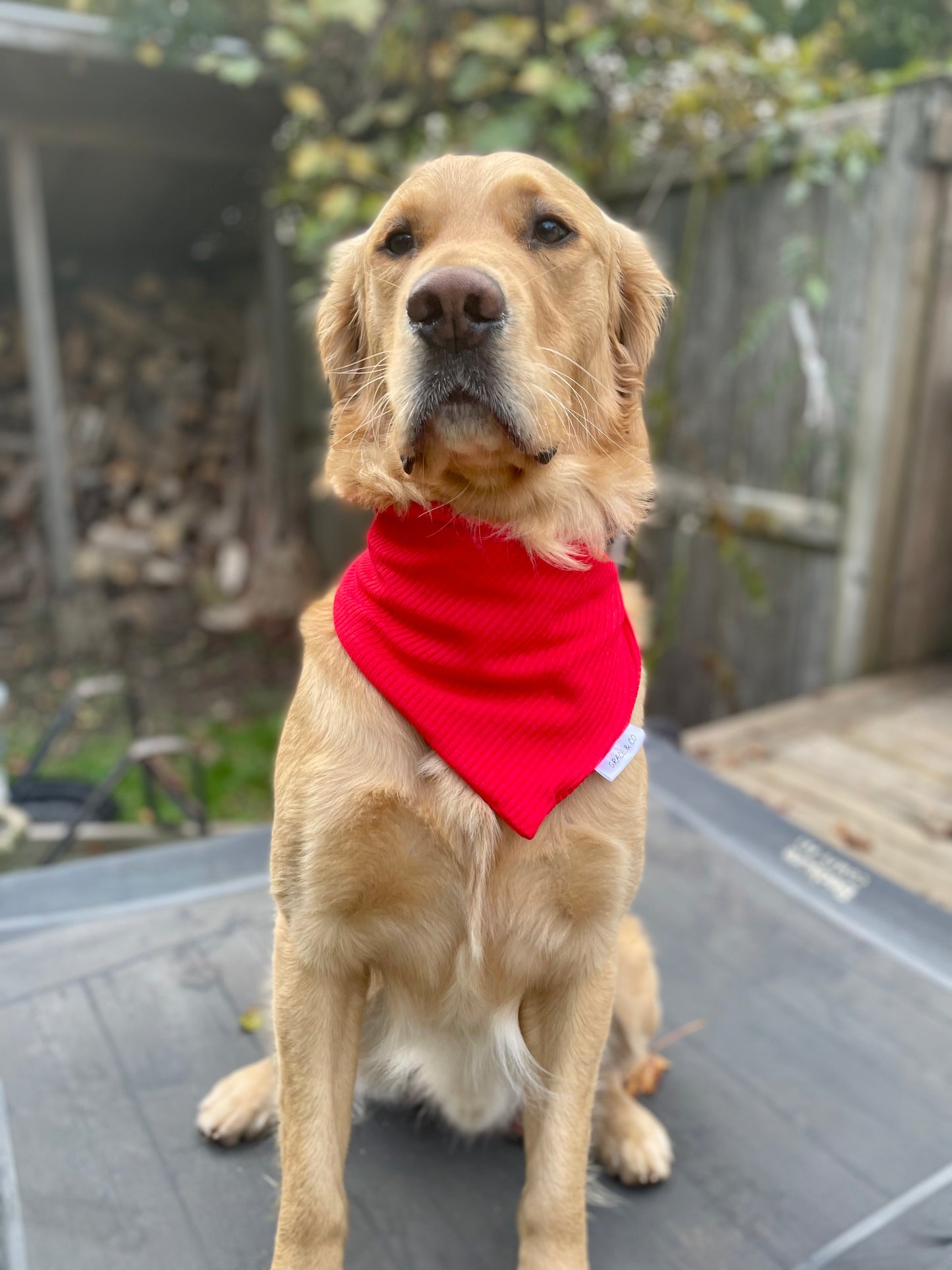 Christmas Bamboo Ribbed