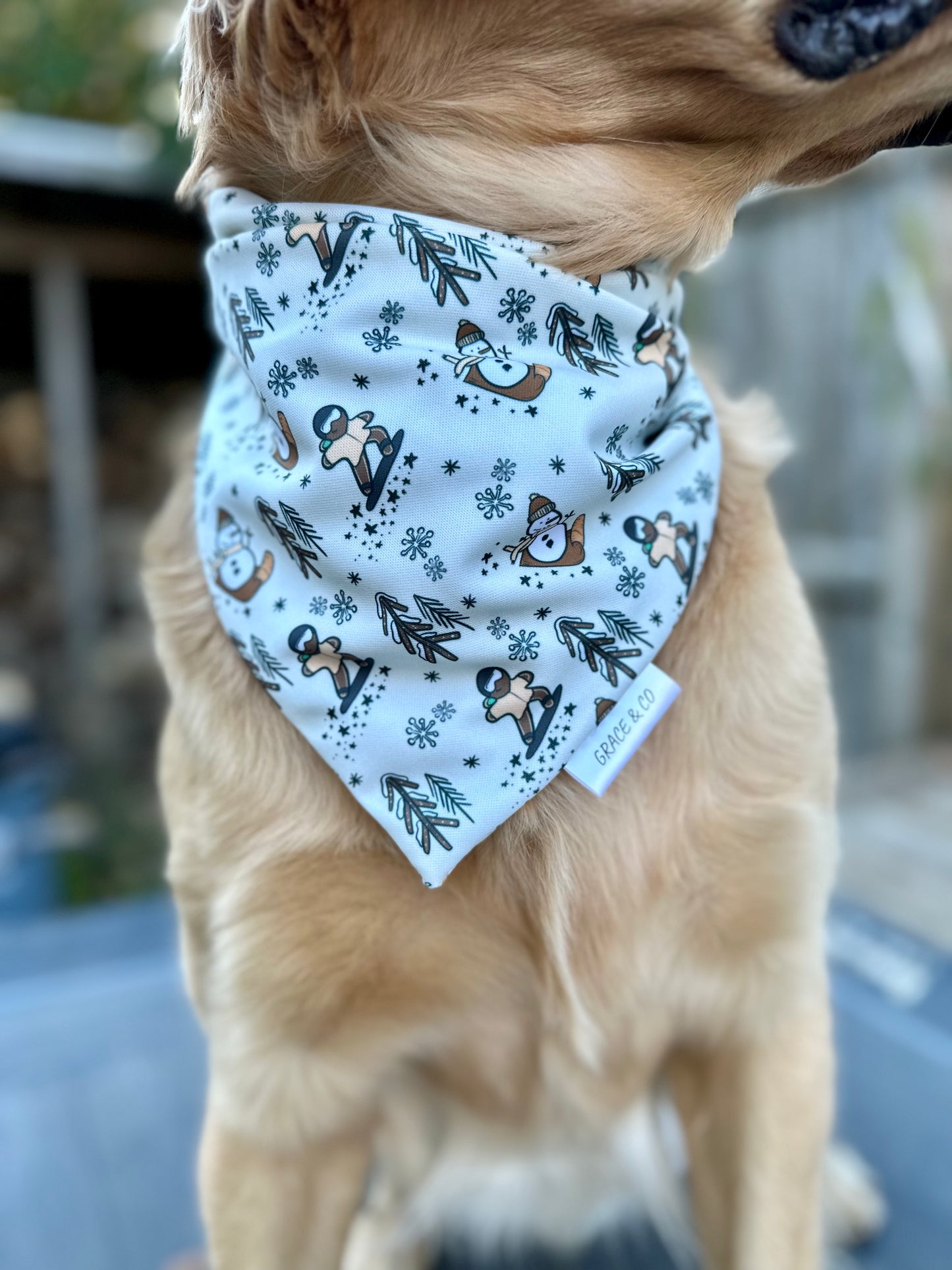 Snowboarding SnowMen & Gingerbread Man