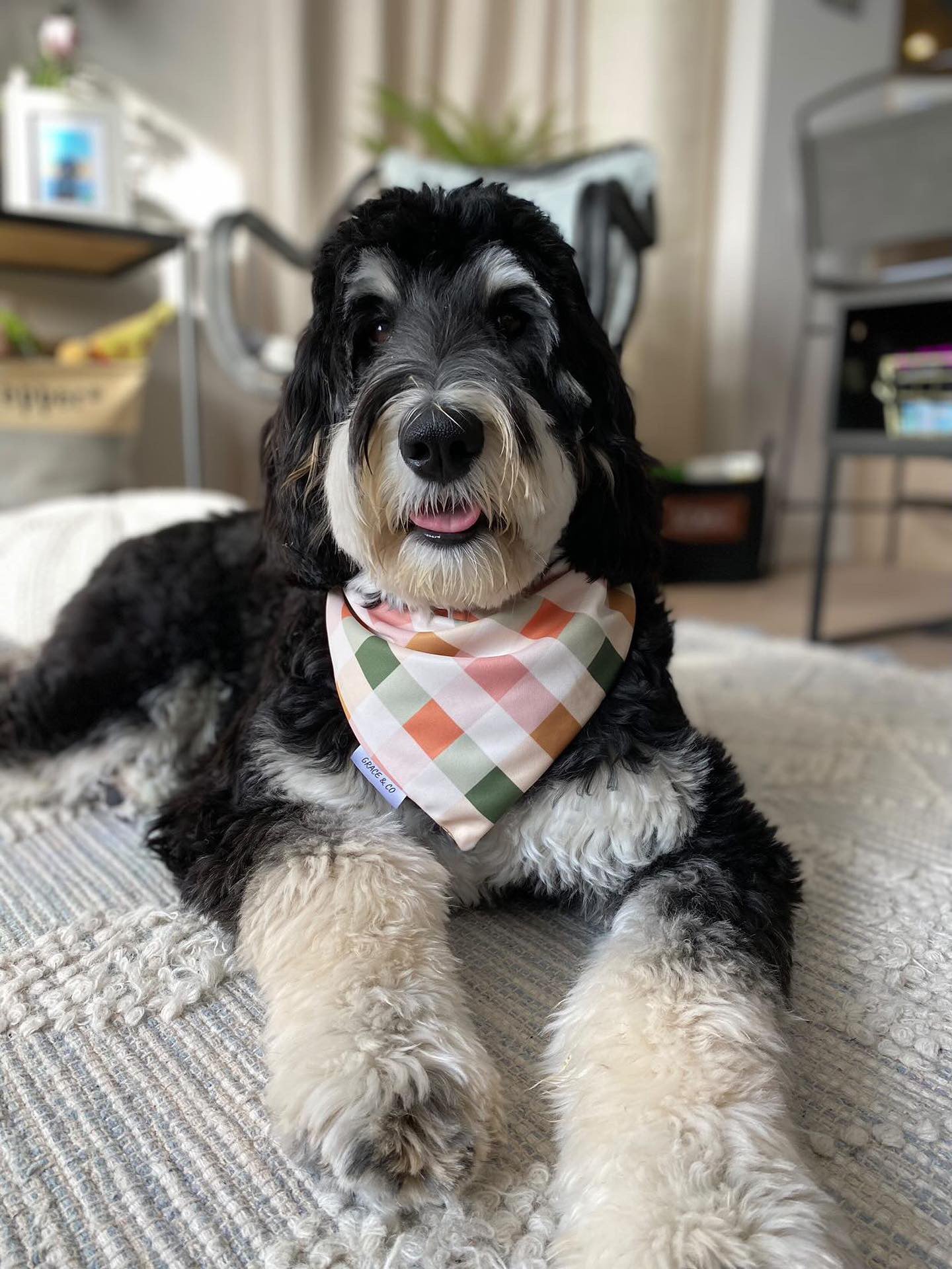 Honey Bunny, Double Sided Easter Bandana w/ Brass Snaps