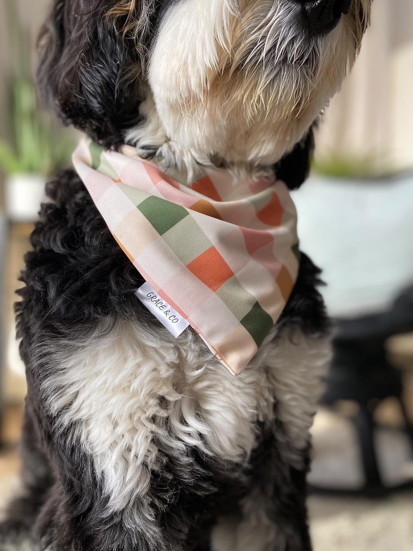 Honey Bunny, Double Sided Easter Bandana w/ Brass Snaps