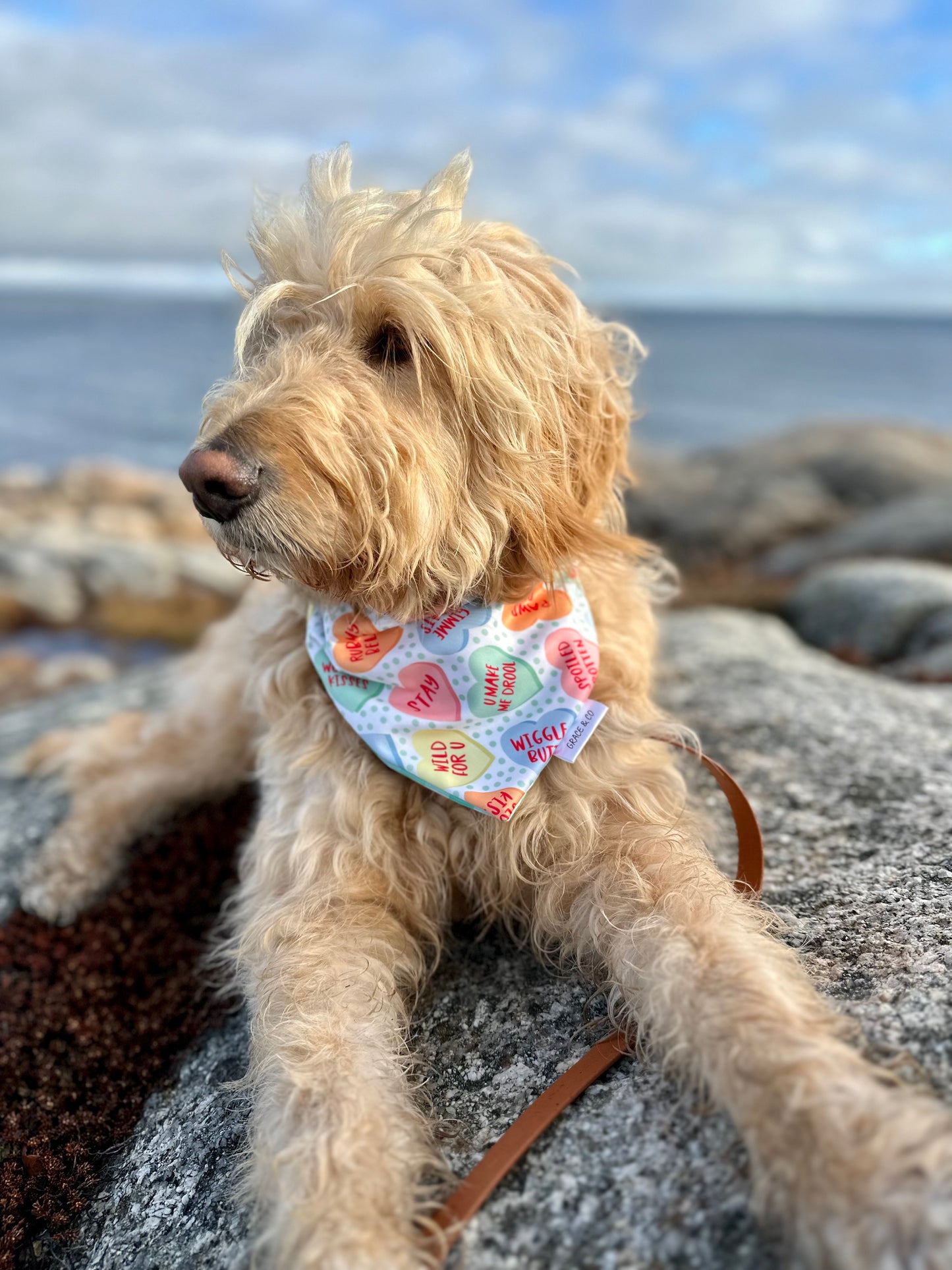 Pup Love Candy Hearts