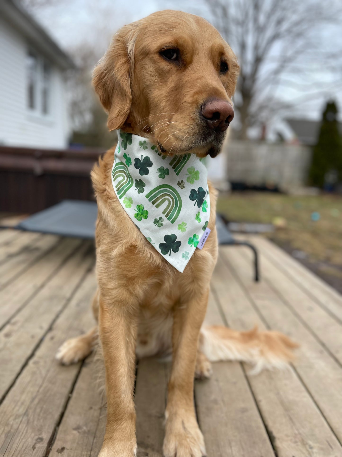 Rainbows & Lucky Clovers, Double Sided Bandana w/ Brass Snaps