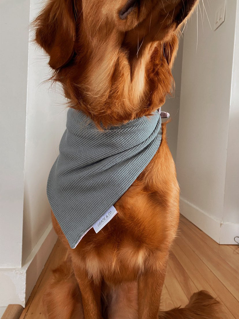 Baby Blue / Lavender Waffle Knit Bandana w/ Brass Snaps
